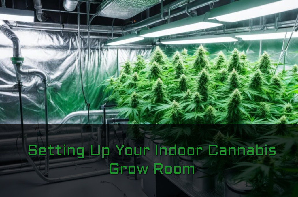 Setting Up Your Indoor Cannabis Grow Room